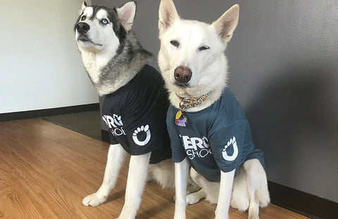 Xero T-Shirts